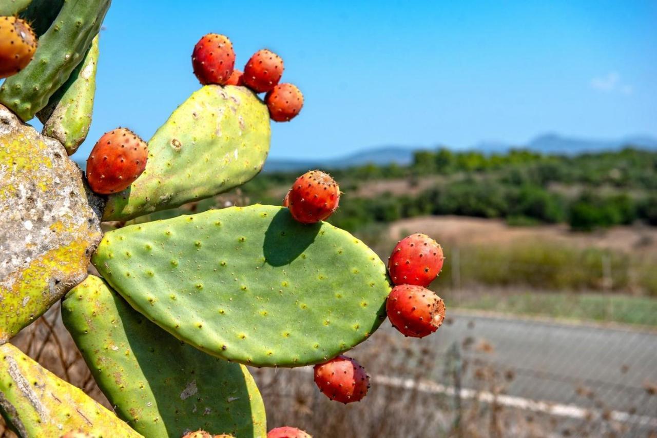 Sa Franquesa Vella Villa Manacor  Bagian luar foto